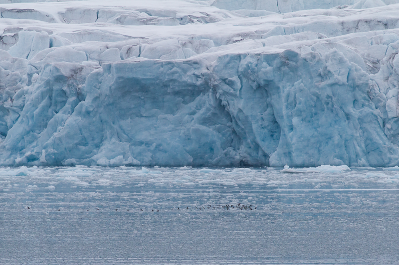 Gletsjerwand Spitsbergen